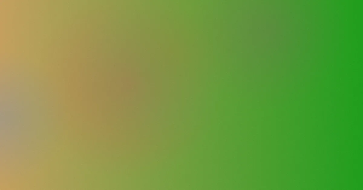 女佣电影推荐：新手片单
